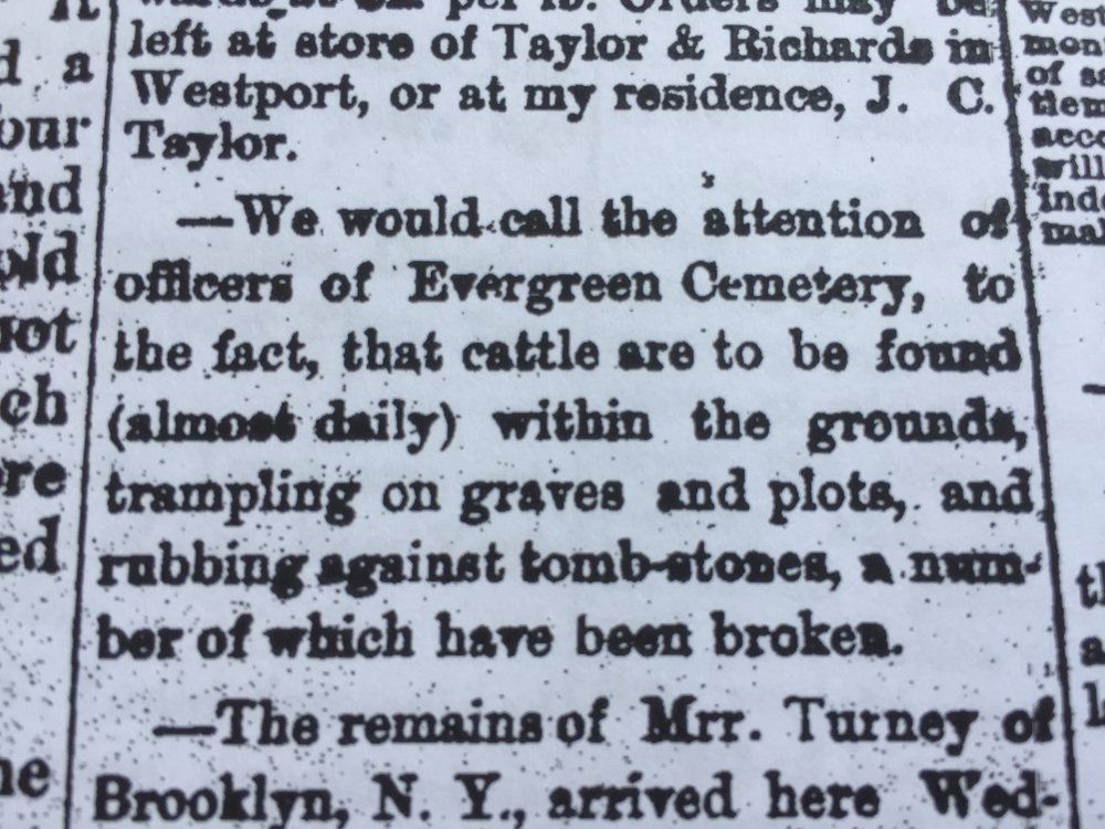 1878 Newspaper Articles about Evergreen Cemetery